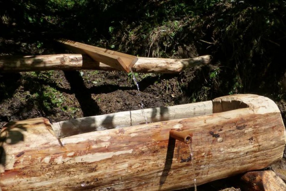 Ilustračný obrázok k článku Radi sa občerstvíte v prírode? Voda v horskej studničke nemusí byť vždy pitná!