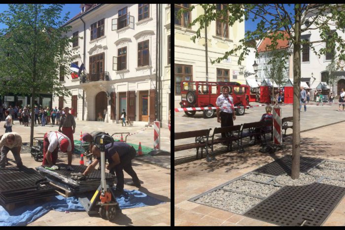 Ilustračný obrázok k článku Na Hlavnom námestí osádza mesto stromové mreže