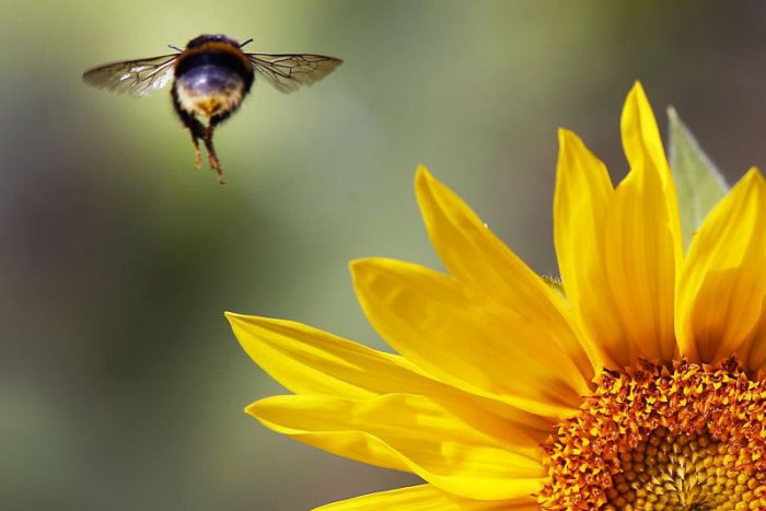 Ilustračný obrázok k článku RANNÁ ŠTVORKA: Prvý september bude v znamení leta a vysokých teplôt