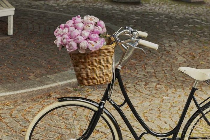 Ilustračný obrázok k článku Auto nechajte doma a pridajte sa k cykloprojektu „Na bicykli do obchodu“