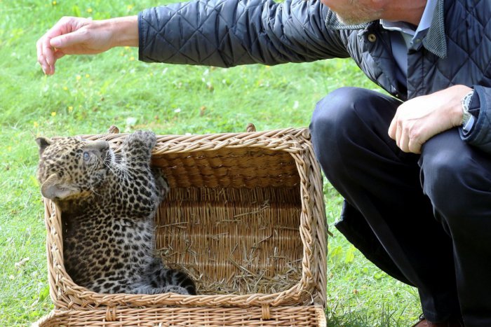 Ilustračný obrázok k článku Predĺžený víkend ako stvorený na výlety: 5 super tipov a len na skok od Žiaru