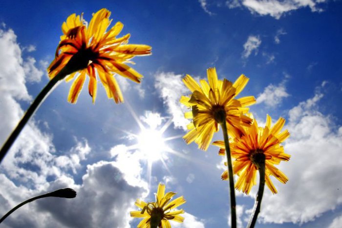 Ilustračný obrázok k článku RANNÁ ŠTVORKA: Leto nám ešte ukáže svoju slnečnú tvár