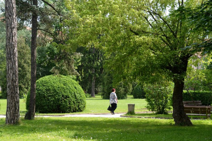 Ilustračný obrázok k článku RANNÁ ŠTVORKA: Piatok prinesie mierne oteplenie, oslavuje Viktória