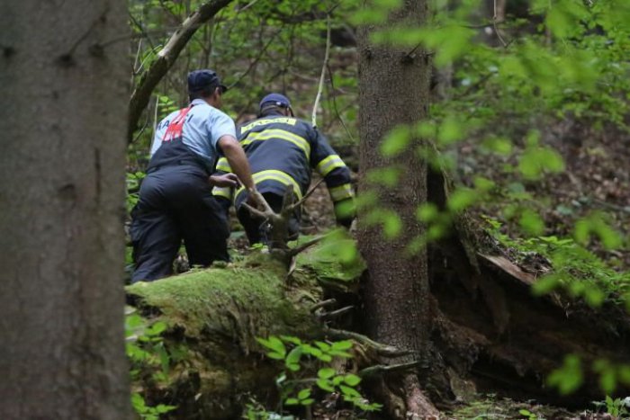 Ilustračný obrázok k článku Polícia našla čiernu skrinku zo spadnutého vrtuľníka aj všetky telá obetí