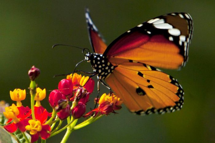 Ilustračný obrázok k článku RANNÁ ŠTVORKA: Nedeľa bude krásne slnečná, pripomenie nám smutný pád dvojičiek