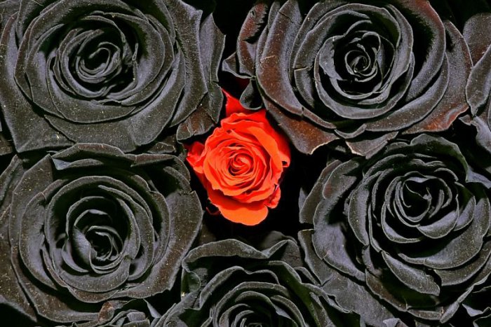 Ilustračný obrázok k článku RANNÁ ŠTVORKA: Nový týždeň začína horúcim pondelkom. Meniny majú Márie