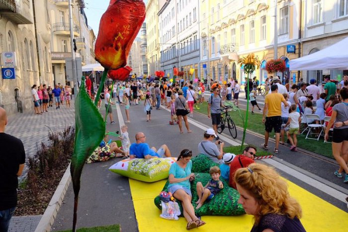 Ilustračný obrázok k článku OBRAZOM: Štúrova ulica rozkvitla. Rozlúčka s letom bola farebná a veľkolepá