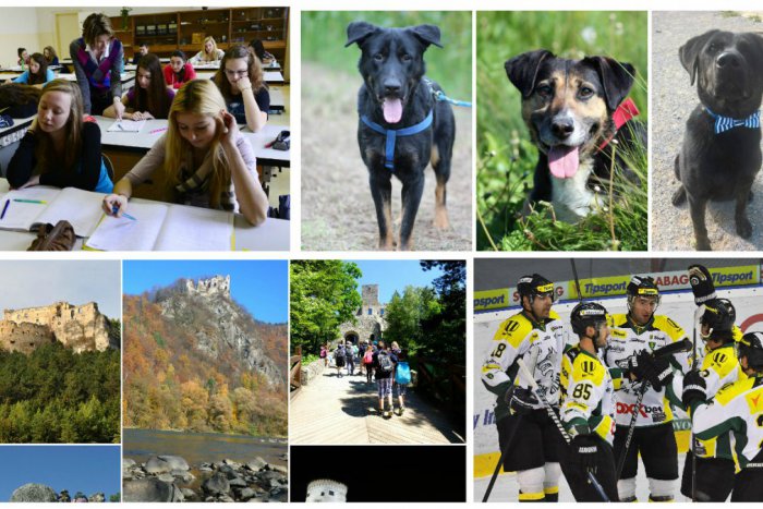 Ilustračný obrázok k článku Jeden klik a máte to v jednom balíku: Najčítanejšie správy týždňa zo Žiliny a okolia