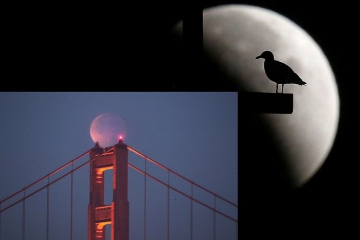 Ilustračný obrázok k článku Polovica Mesiaca v piatok „zmizne“. Napadol ho nebeský jaguár?