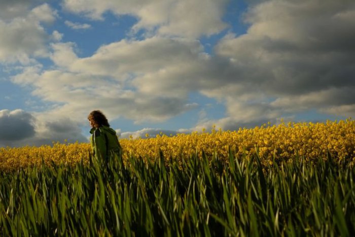 Ilustračný obrázok k článku RANNÁ ŠTVORKA: Záver víkendu bude daždivý, na väčšine krajiny s prehánkami