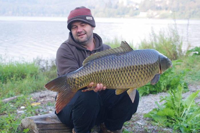 Ilustračný obrázok k článku KURIOZITA DŇA: Mladý rybár ulovil takéhoto fešáka. Ako dopadol kapor?