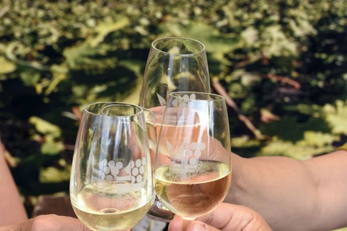 Ilustračný obrázok k článku Víkend klope na dvere: Ako si v Šali užiť voľno?