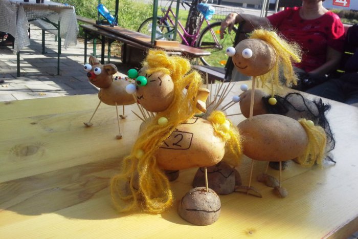 Ilustračný obrázok k článku TIPY NA VÍKEND: V hlavnej úlohe budú zemiaky a trhy s regionálnymi špecialitami