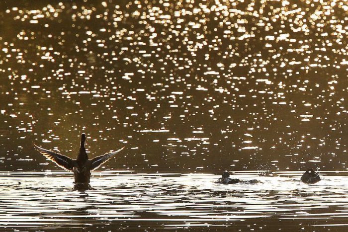 Ilustračný obrázok k článku RANNÁ ŠTVORKA: Pred nami je posledný letný týždeň, ktorý začína prehánkami