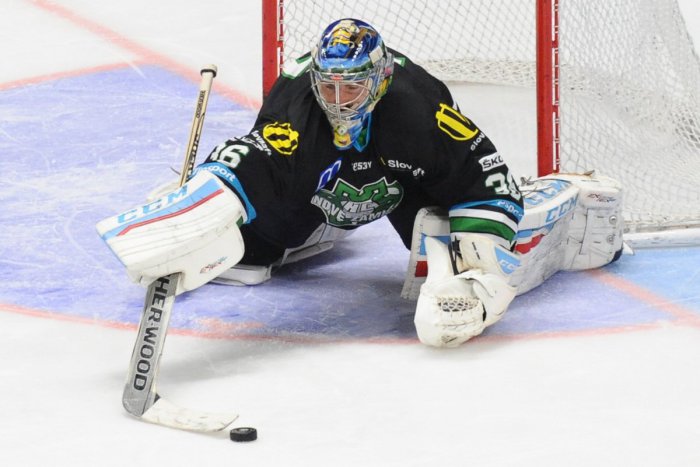 Ilustračný obrázok k článku Dúbravka cup 2016