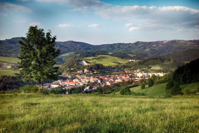 Ilustračný obrázok k článku Dobšinské lesy s vážnym problémom: Aké opatrenia sa zatiaľ prijali?