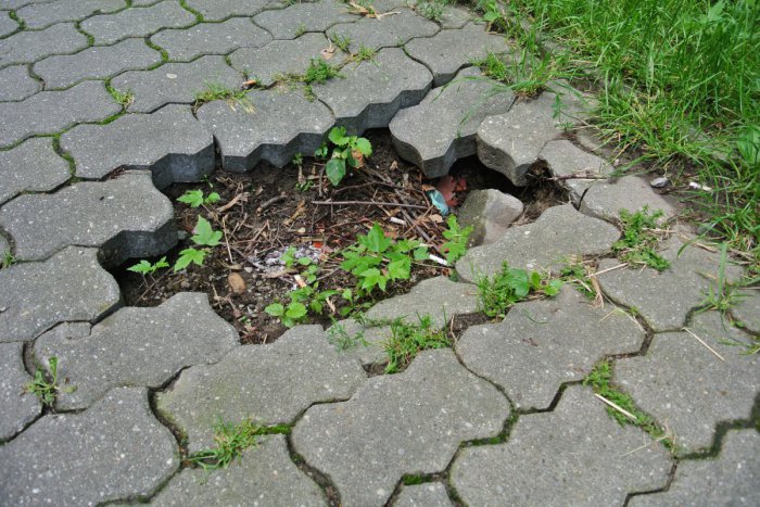 Ilustračný obrázok k článku Portál Odkaz pre starostu ocenil za aktívnu komunikáciu Petržalku, Ružinov a Nové Mesto