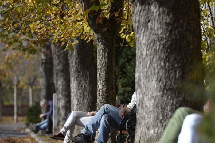 Ilustračný obrázok k článku Pani jeseň je tu: Aj s chrípkou, depresiami a tajomnom