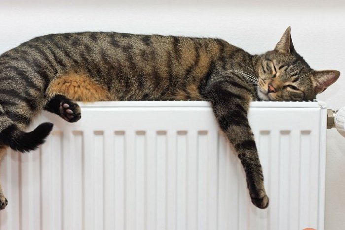 Ilustračný obrázok k článku Začali vám kúriť? Aj vaše radiátory potrebujú pred zimou servis