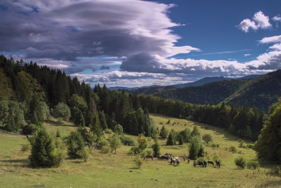 Ilustračný obrázok k článku RANNÁ ŠTVORKA: Ubehlo 14 rokov od podpisu Zmluvy o pristúpení SR do Európskej únie