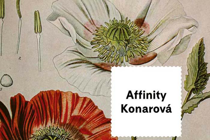 Ilustračný obrázok k článku Tip na knihu: Príbeh dvojičiek, ktoré prežili Mengeleho experimenty