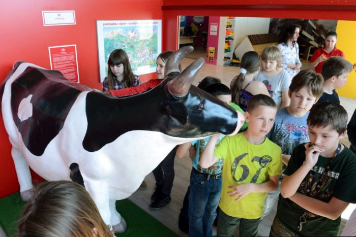 Ilustračný obrázok k článku TIPY NA VÍKEND: Deti si vyskúšajú povolania, Spiš ovládnu zemiaky