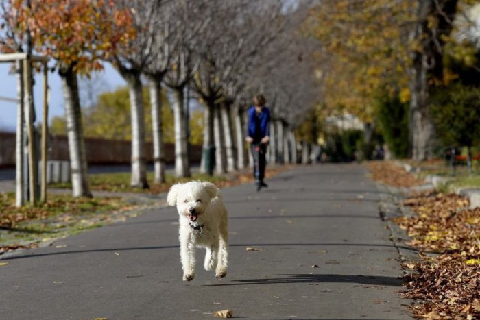 Ilustračný obrázok k článku RANNÁ ŠTVORKA: Pred nami je pravý jesenný deň bez oblakov