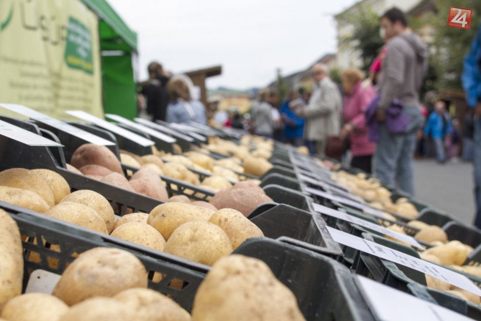 Ilustračný obrázok k článku Zemiaky sú stále IN: Beliansky zemiakársky jarmok to len potvrdil