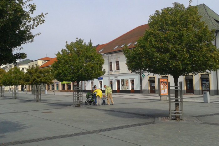 Ilustračný obrázok k článku Zvolen zažije ojedinelú výstavu. Zasvätí do problematiky, ktorá je mnohým málo známa