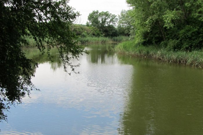 Ilustračný obrázok k článku Zaujímavosť v blízkom okolí: Prírodná pamiatka Bábske jazierko, FOTO