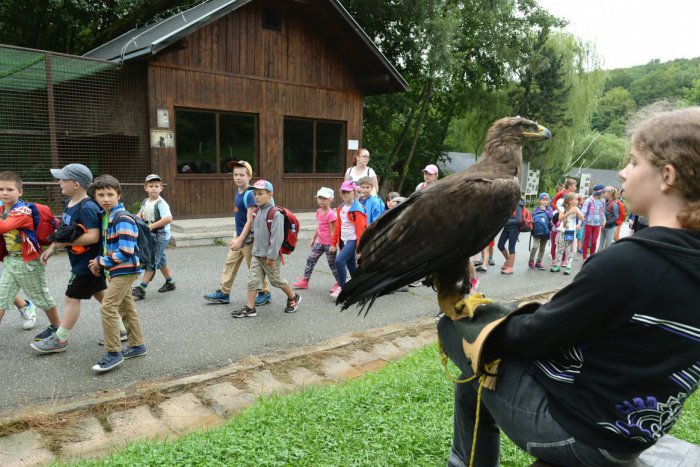 Ilustračný obrázok k článku V košickej zoo sa bude oslavovať: Špeciálny stánok, krst či udeľovanie cien