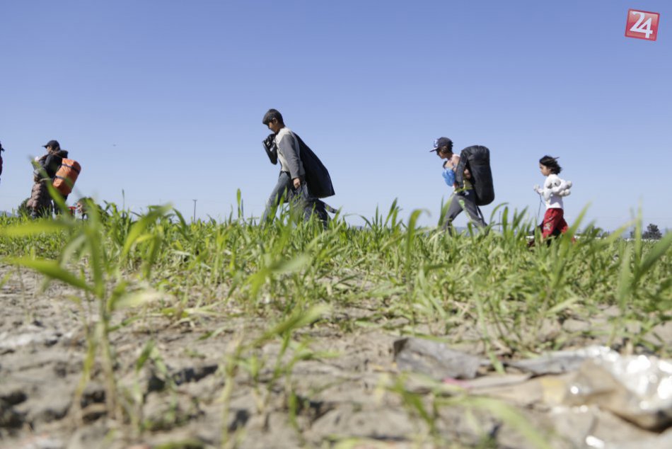 Ilustračný obrázok k článku Témou festivalu Arteterapia sú Ľudia na úteku, ich deti dostanú hračky a nosiče