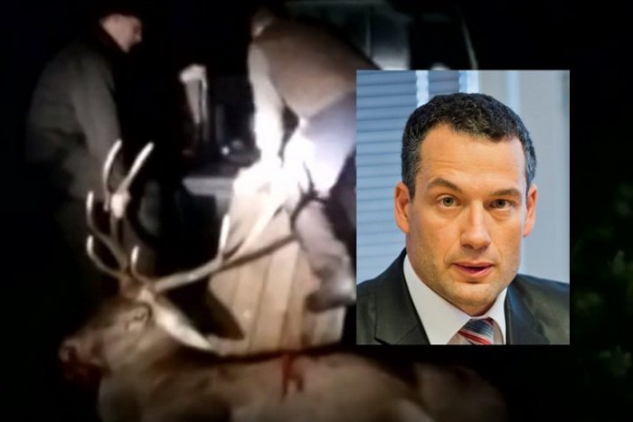 Ilustračný obrázok k článku Pytliačil bývalý šéf Všeobecnej zdravotnej poisťovne? Každý tvrdí niečo iné