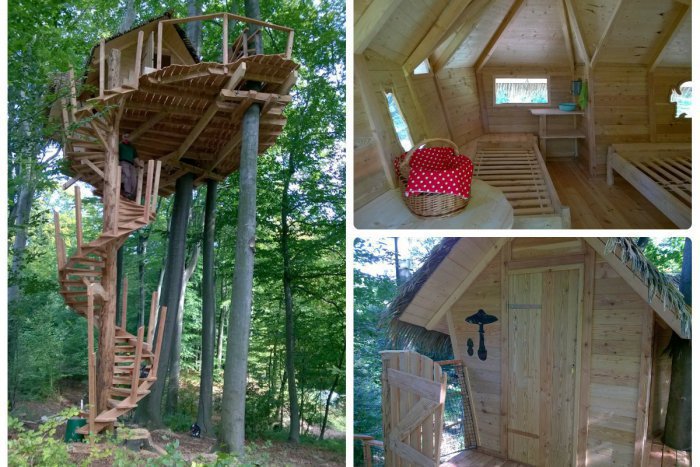 Ilustračný obrázok k článku Rozprávkový domček v korunách stromov. Ak chcete, môžete v ňom aj prenocovať