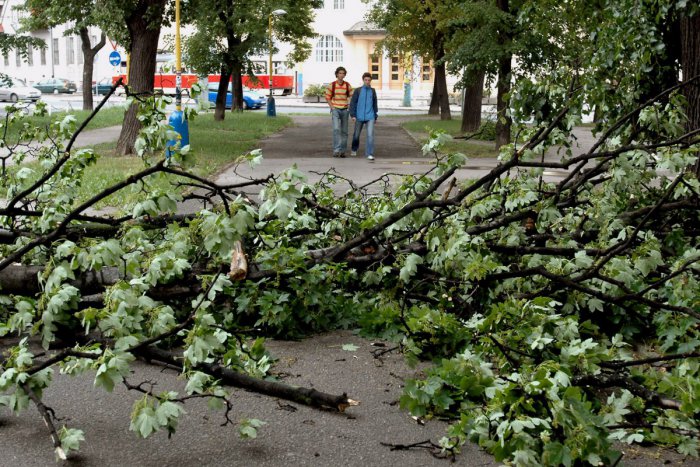 Ilustračný obrázok k článku Silný vietor vo Zvolene lámal stromy. Hasiči zasahovali na viacerých miestach!