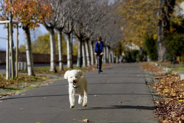 Ilustračný obrázok k článku Víkend klope na dvere: Ako si v Šali užiť voľno?
