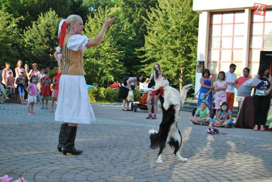 Ilustračný obrázok k článku Trnavčanka Adriana vás s jej milými psíkmi dostane: Paráda, čo spolu dokážu! FOTO