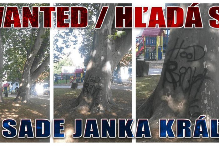 Ilustračný obrázok k článku V Sade Janka Kráľa znesvätili krásny strom. Za meno vandala je vypísaná odmena