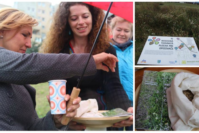 Ilustračný obrázok k článku Ako vrátiť prírodu do mesta? Návod, ako na to, nájdete v novej príručke