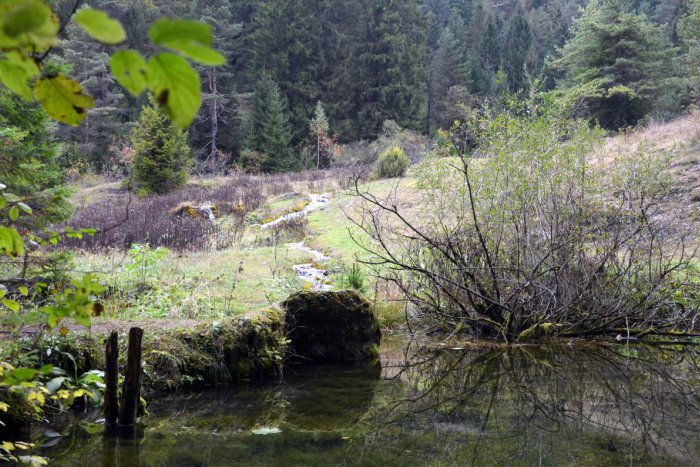 Ilustračný obrázok k článku POZNÁVAJTE LIPTOV: Dogerské skaly a Jazierce