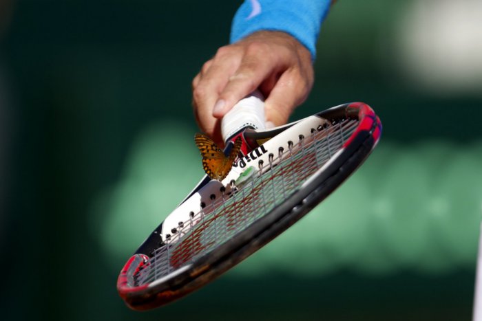 Ilustračný obrázok k článku Parádny úspech mladých zvolenských tenistov. Ovládli finále Detského Davis Cupu!