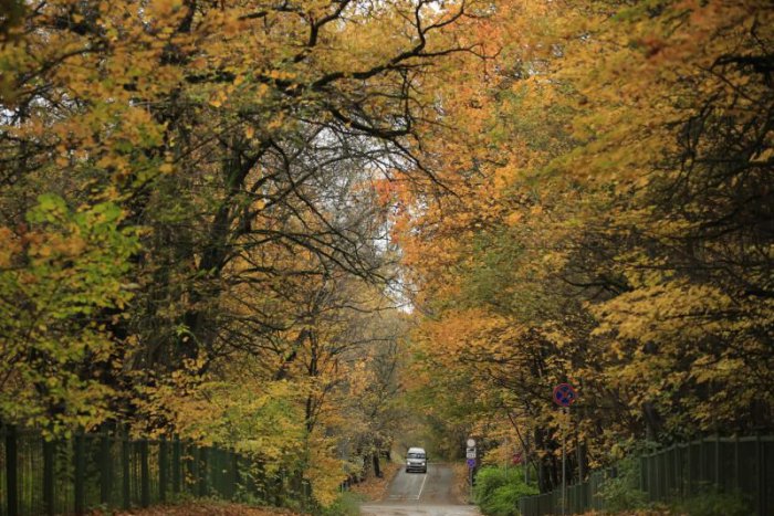 Ilustračný obrázok k článku RANNÁ ŠTVORKA: Nový pracovný týždeň začne hmlou i miernym snežením