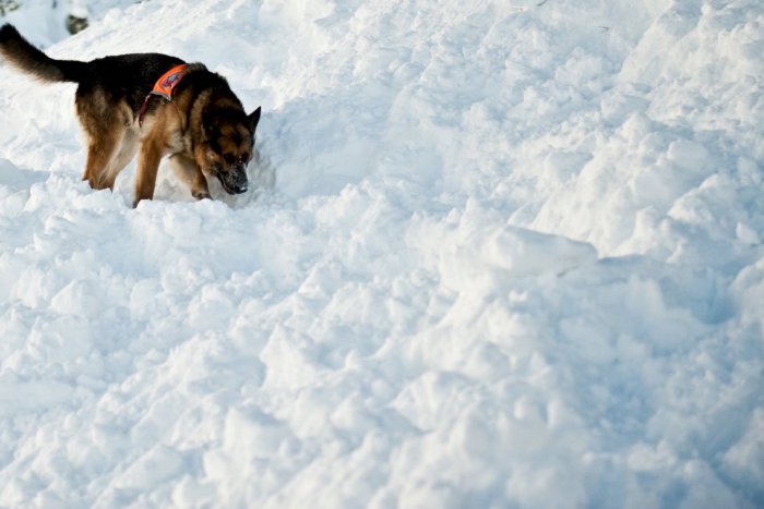 Ilustračný obrázok k článku Neriskujte túrou v horskom teréne: Hrozí tam veľké lavínové nebezpečenstvo