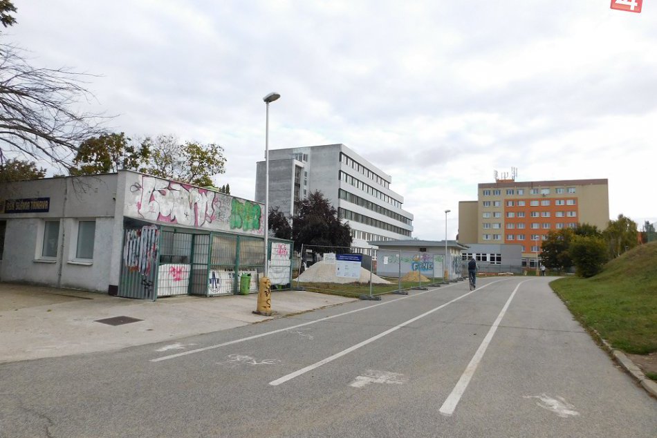 Ilustračný obrázok k článku V Trnave pribudnú ďalšie stromy: Počas jesene ich vysadia 400!