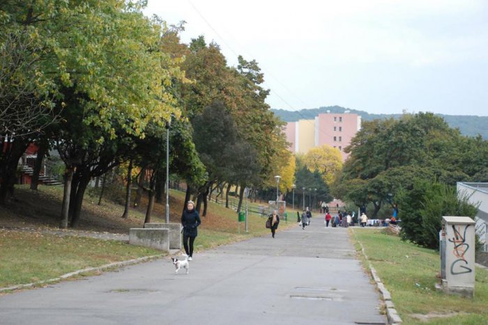 Ilustračný obrázok k článku V Dúbravke vznikne zážitková promenáda. Predstavili aj návrhy, ako by mohla vyzerať