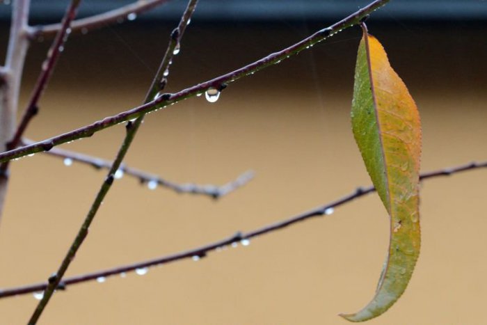 Ilustračný obrázok k článku RANNÁ ŠTVORKA: Obloha bude pochmúrna. Niekde s dažďom, inde so snežením