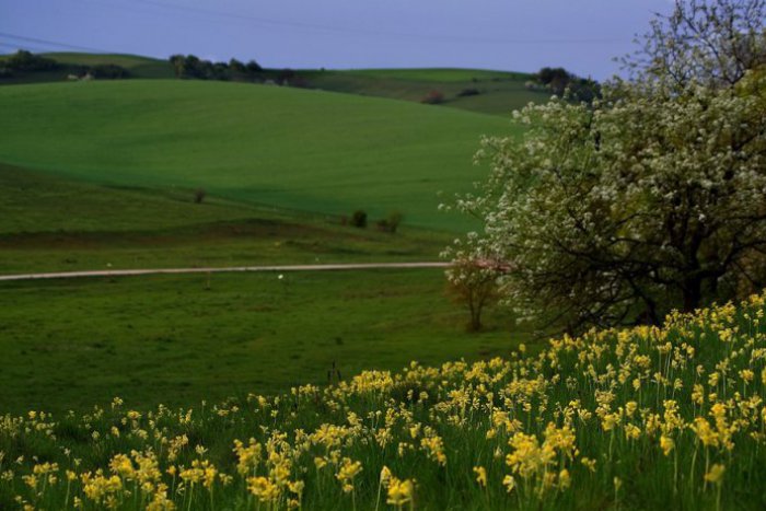 Ilustračný obrázok k článku Príroda pri Kremnici nám má robiť meno: Mieri do špeciálneho zoznamu