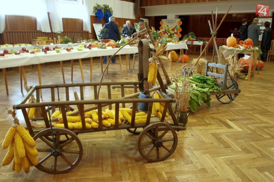 Ilustračný obrázok k článku FOTO: Exotické plody rôzneho druhu. V Topoľčiankach sa konala výstava ovocia a zeleniny