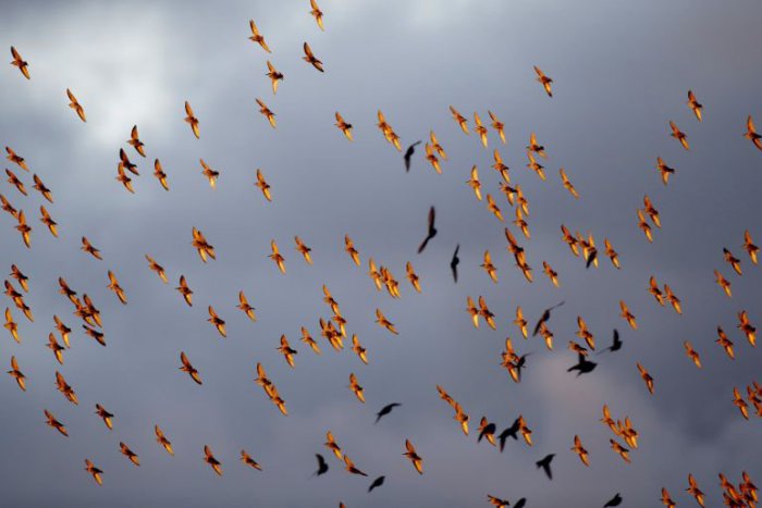 Ilustračný obrázok k článku RANNÁ ŠTVORKA: Kým na západe bude hmla a oblaky, na východe si užijú jasné počasie