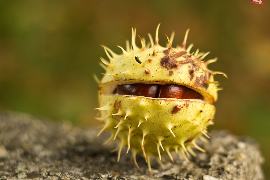 Ilustračný obrázok k článku TIPY na VÍKEND: kde môžu Ružomberčania zrelaxovať?